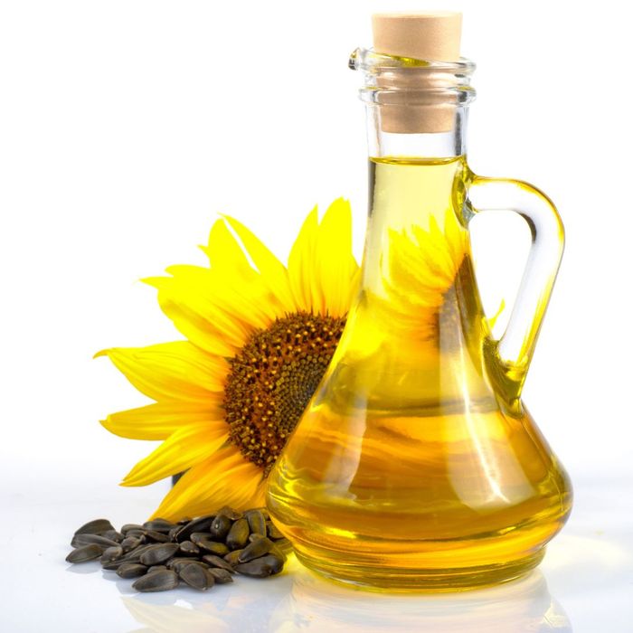 Everything You Need to Know About Sunflower Liquid Lecithin Ingredaco